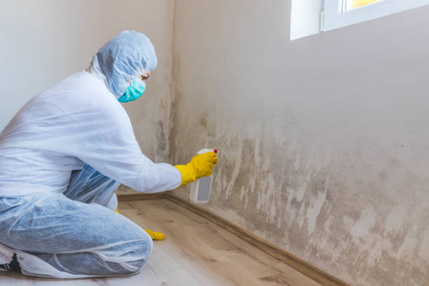 Licensed Mold Removal service in Greensboro, NC - WQB Mold Removal
