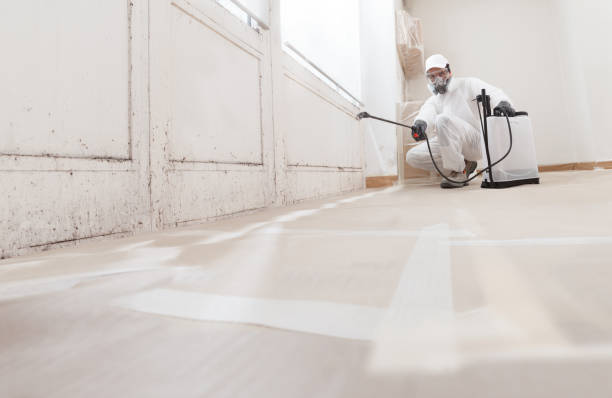 Trusted Mold Removal service in Greensboro, NC - WQB Mold Removal