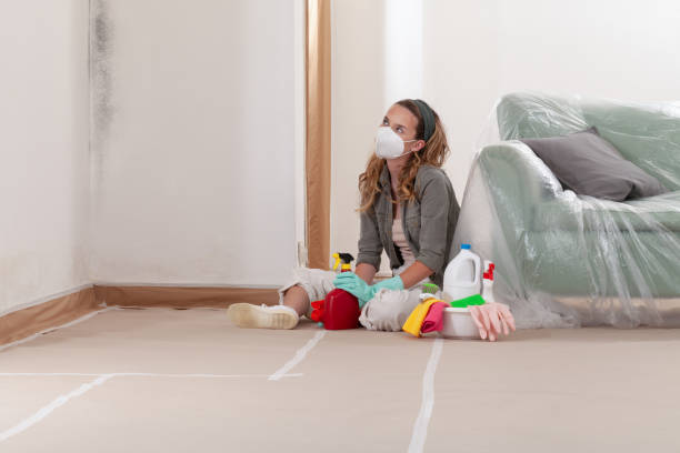 Reliable Mold Removal contractor in Greensboro, NC by WQB Mold Removal