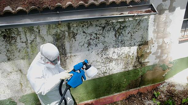 Top rated local Mold Removal specialists in Greensboro, NC